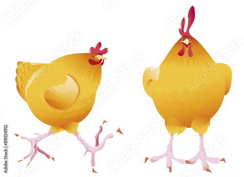Poule ronde de face et profil