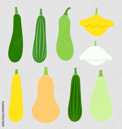 Summer squash vegetables