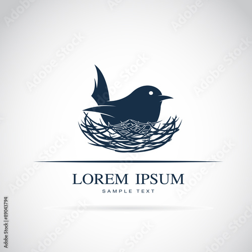 Vector of bird hatch her egg in nest. Animal.