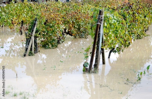 Cuadro en lienzo alluvione,campi e vigne allagati