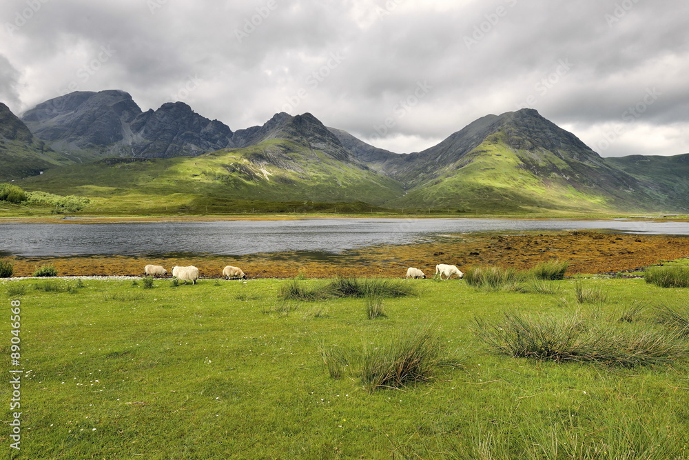 Scotland, Elgol - meadow landscape nature Scotland, Elgol - meadow landscape nature
