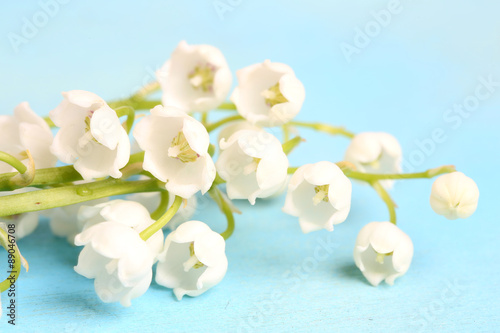 lilies of the valley on a blue wooden background