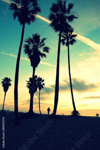 Venice Beach Sunset vintage retro cross processed colors. Tropical summer vacation and travel concept