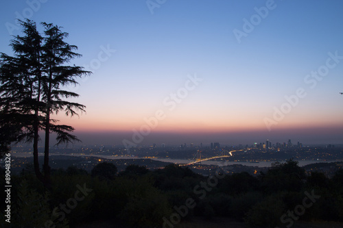 Canvas Print istanbul çamlıca tepesinde ağaç silüeti