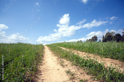 Rustic landscape with ground road through a green field  in summer day