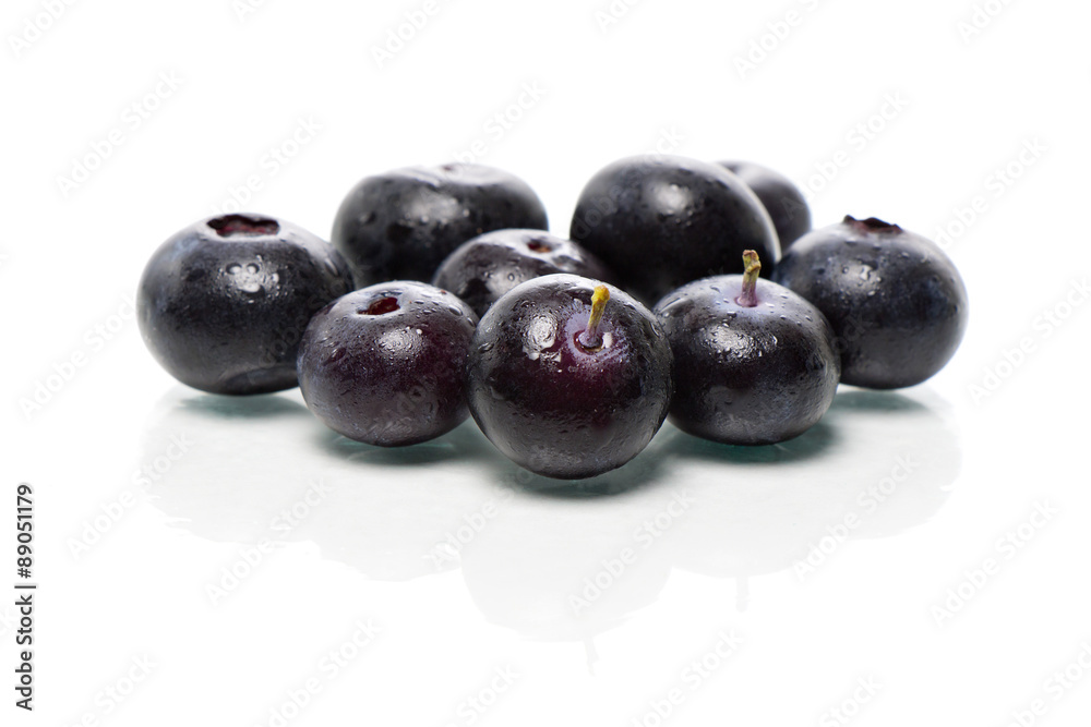Heidelbeere (Vaccinium myrtillus), isoliert Heidelbeere (Vaccinium myrtillus), isoliert