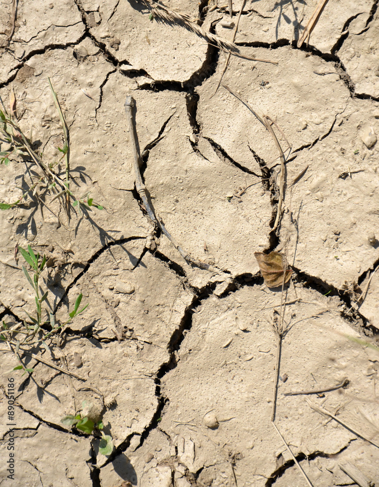 Dry cracked soil Dry cracked soil