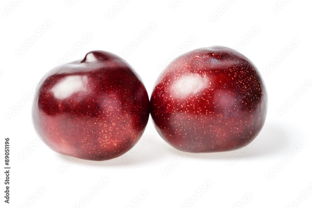 fresh red plums on white