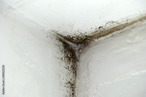 Photos Mold in corner
