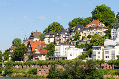 Heidelberg houses 