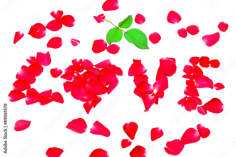 Love of rose petals isolated on white background Love of rose petals isolated on white background