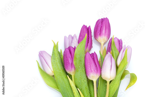 Purple tulips bouquet