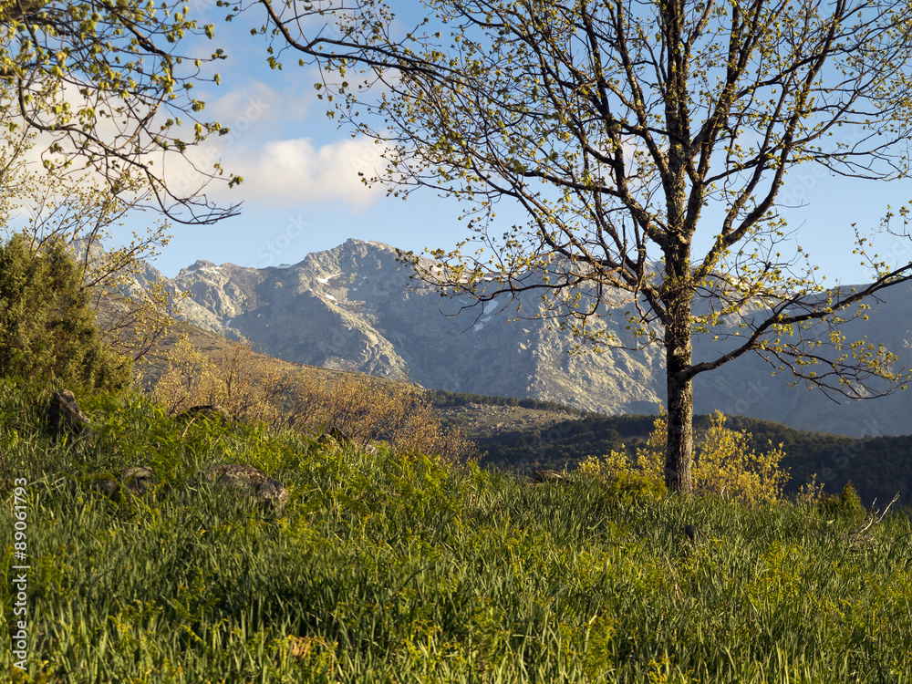 Cuerda de Pie Enmedio. Sierra de Gredos. Avila Cuerda de Pie Enmedio. Sierra de Gredos. Avila