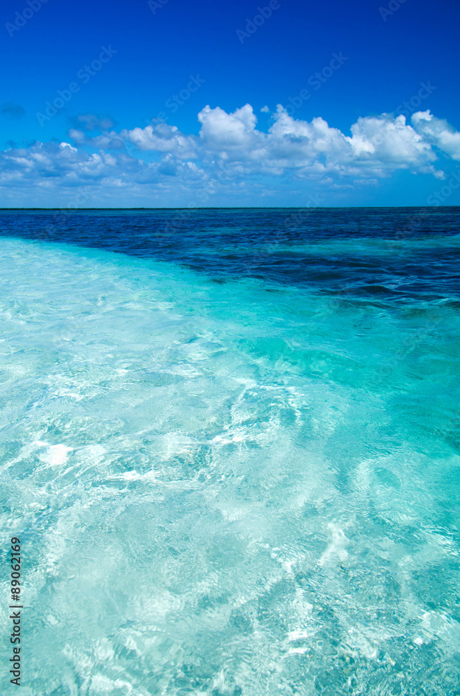 sea sea