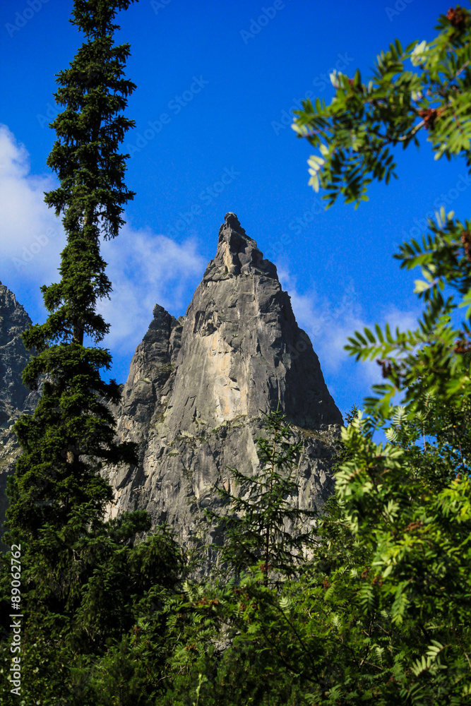 Mnich Tatry