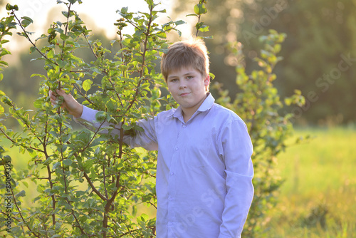 Portrait of a teenage boy in the nature at summer photo