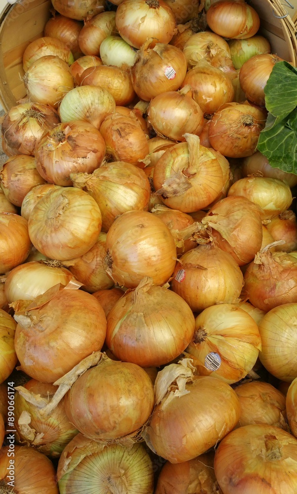 Yellow Onions at a produce stand Yellow Onions at a produce stand