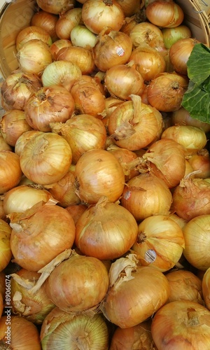 Yellow Onions at a produce stand