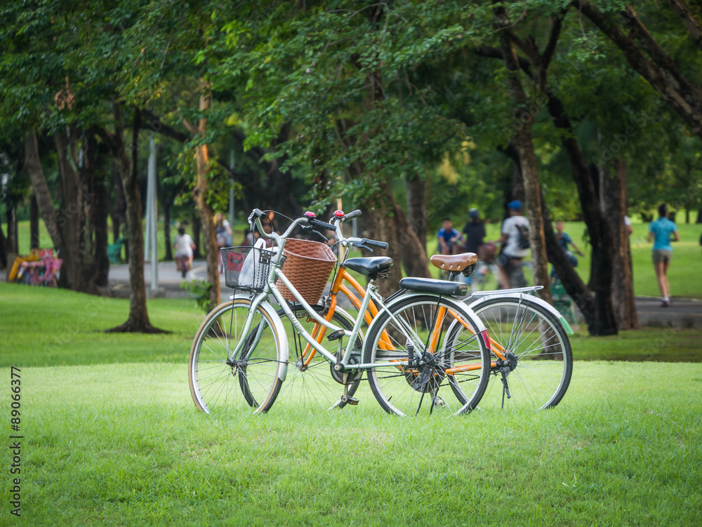 Two empty bicycles in the park Two empty bicycles in the park