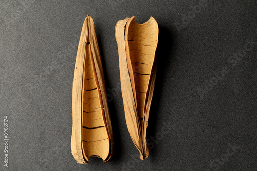 two dried leaves or flowers of a plant fallen from the tree in summer season - its beautiful texture and boat shape makes it very attractive abstract