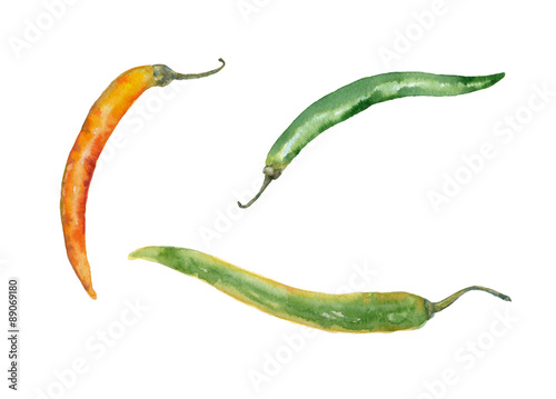 Chile peppers. Watercolor painting