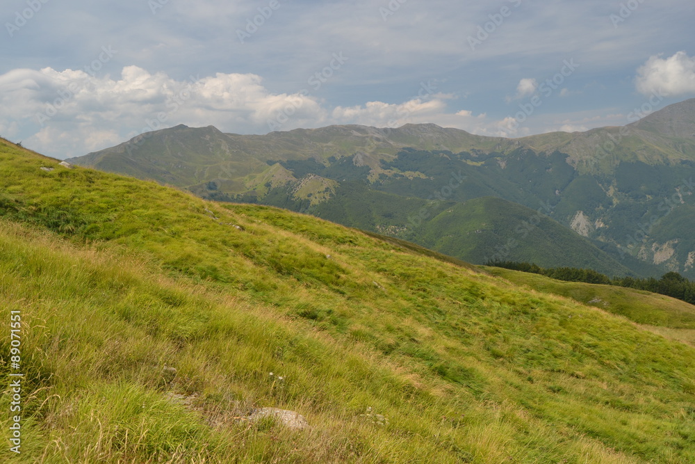 Naklejka premium mountain