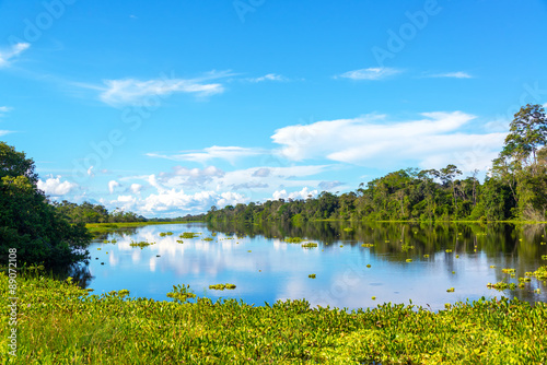 Amazon Jungle View and Reflection