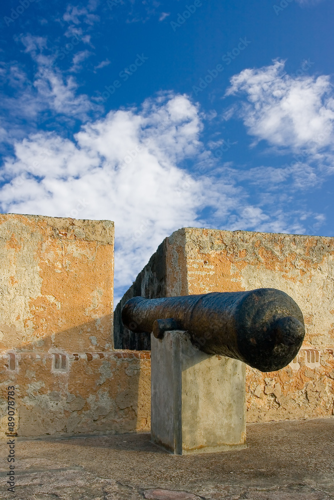 Cannon in an old fort