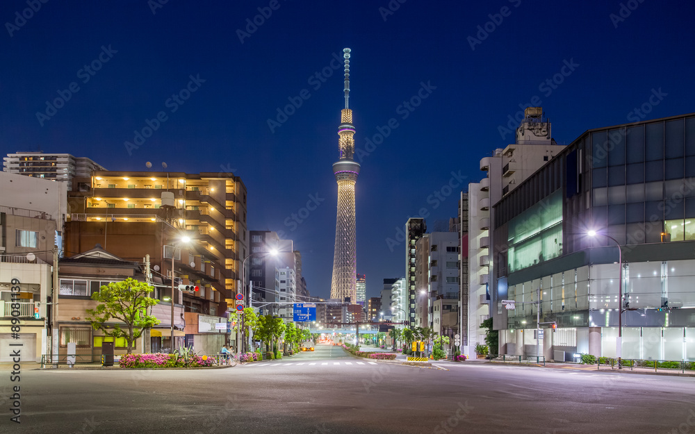 Fototapeta premium Tokyo building view and tokyo sky tree at night