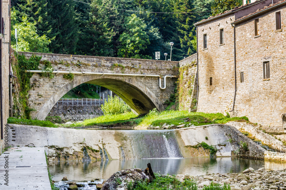 Fototapeta premium bridge in hill village in Italy