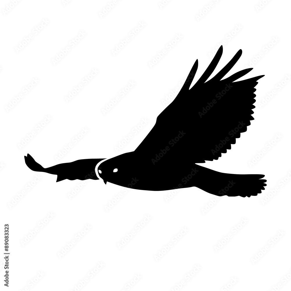 Obraz premium Hawk or eagle silhouette flat icon for nature apps and websites