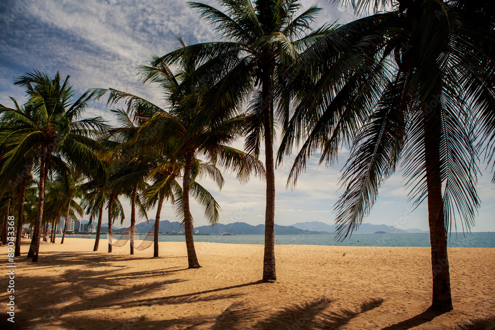 view of palm trees on sand beach against fleecy clouds