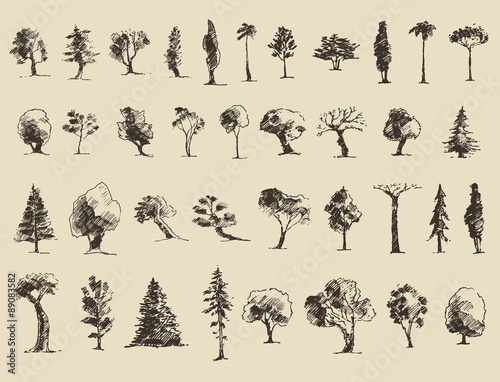 Trees sketch set, vintage vector style, hand drawn © Alexandr Bakanov