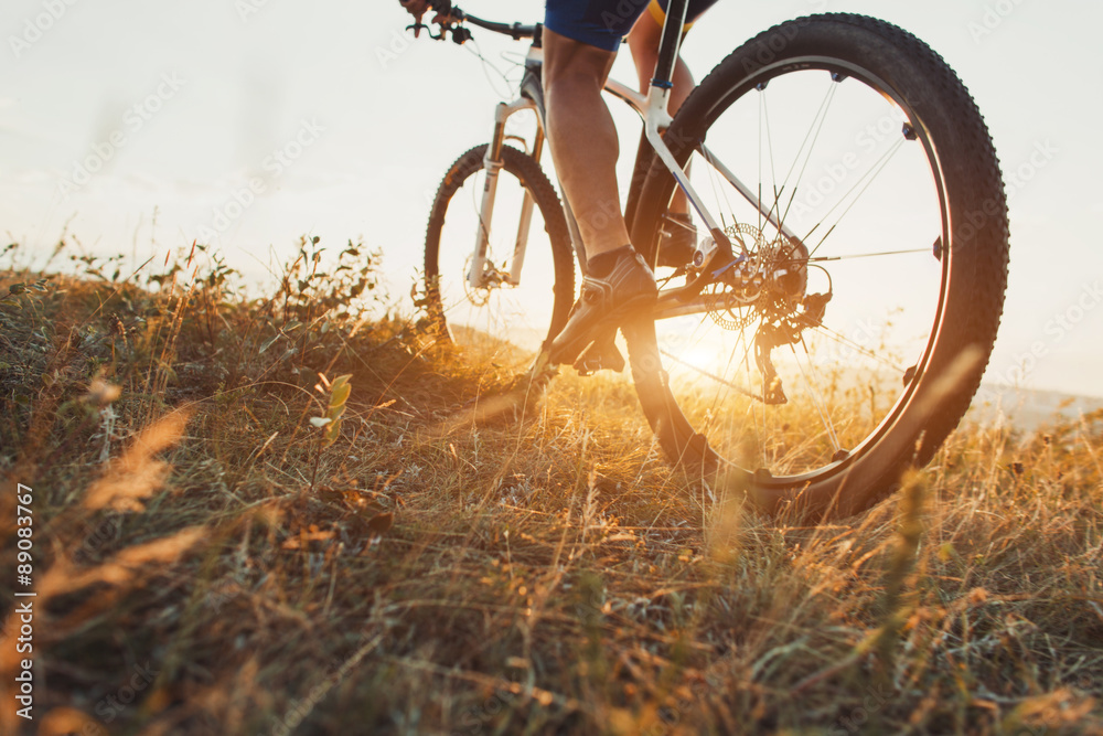 Obraz premium low angle view of cyclist riding with mountain bike on trail at