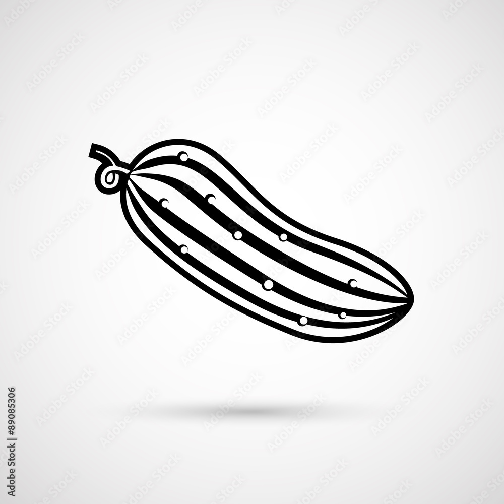 ripe cucumber vector illustration isolated on white ripe cucumber vector illustration isolated on white