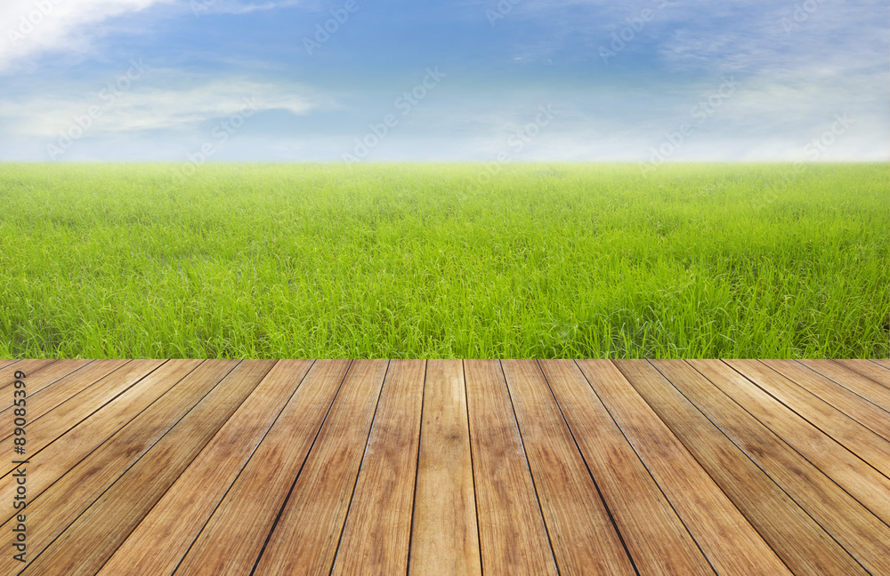 Nature bright spring with rice field background and perspective wooden plank Nature bright spring with rice field background and perspective wooden plank
