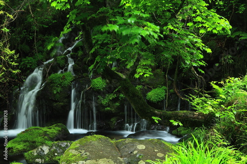 秋田県にかほ市 夏の元滝伏流水