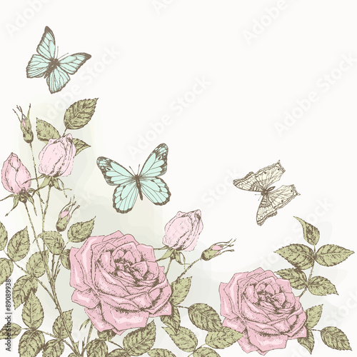 Rose and butterfly