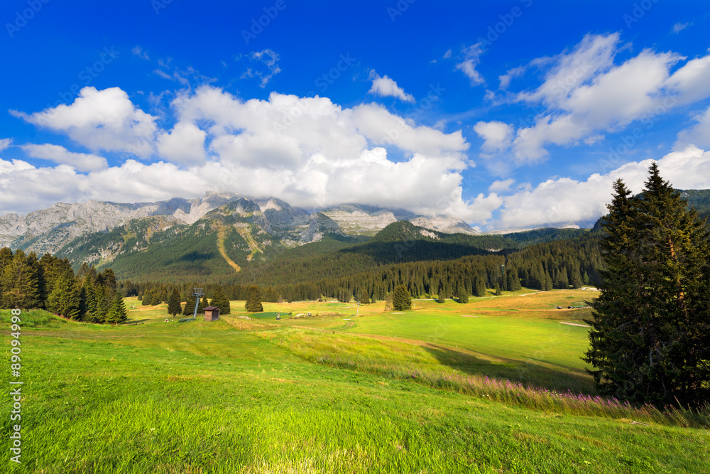 Obraz premium Passo Campo Carlo Magno - Trentino Italy / Campo Carlo Magno Pass and Brenta Dolomites, near Madonna di Campiglio, Trentino Alto Adige, Italy