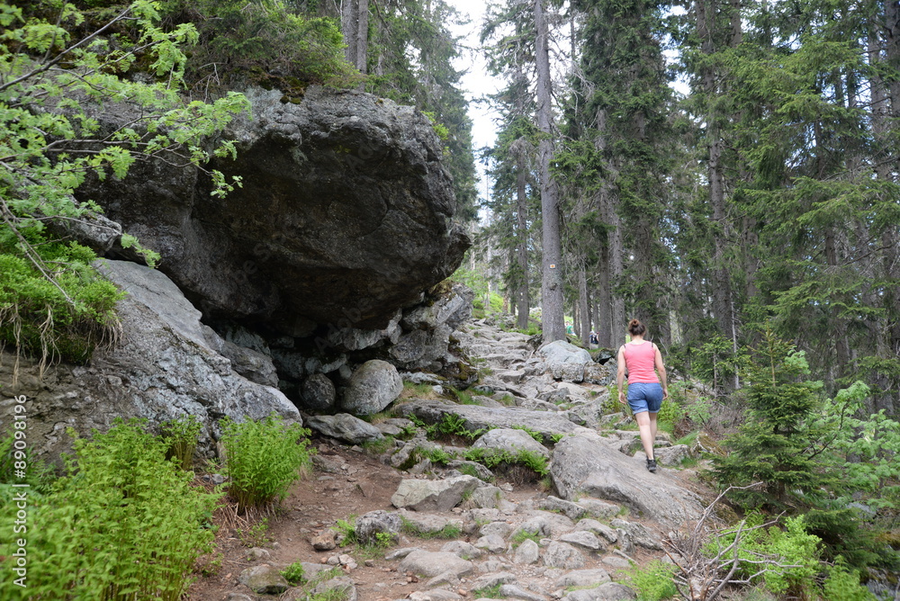 Wanderer am GRoßen Arber Wanderer am GRoßen Arber