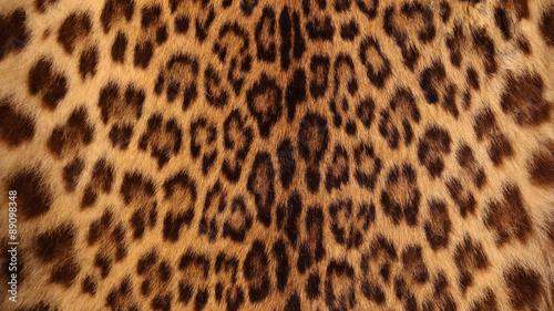 Real tiger fur