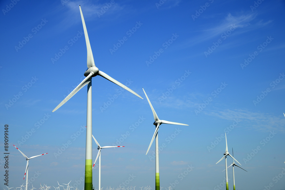 Fototapeta premium Windräder