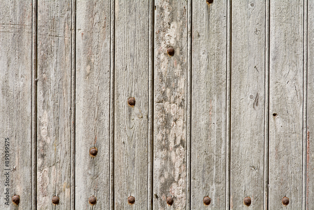 Fototapeta premium Wood door with panels and rivets