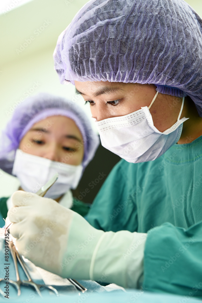 two veterinarian surgeons in operating room
two veterinarian surgeons in operating room
