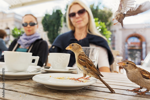 Canvas Print House sparrow ( Passer domesticus) at table, Vienna