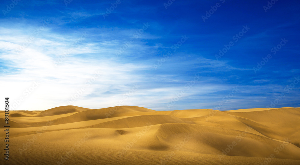 panorama desertico