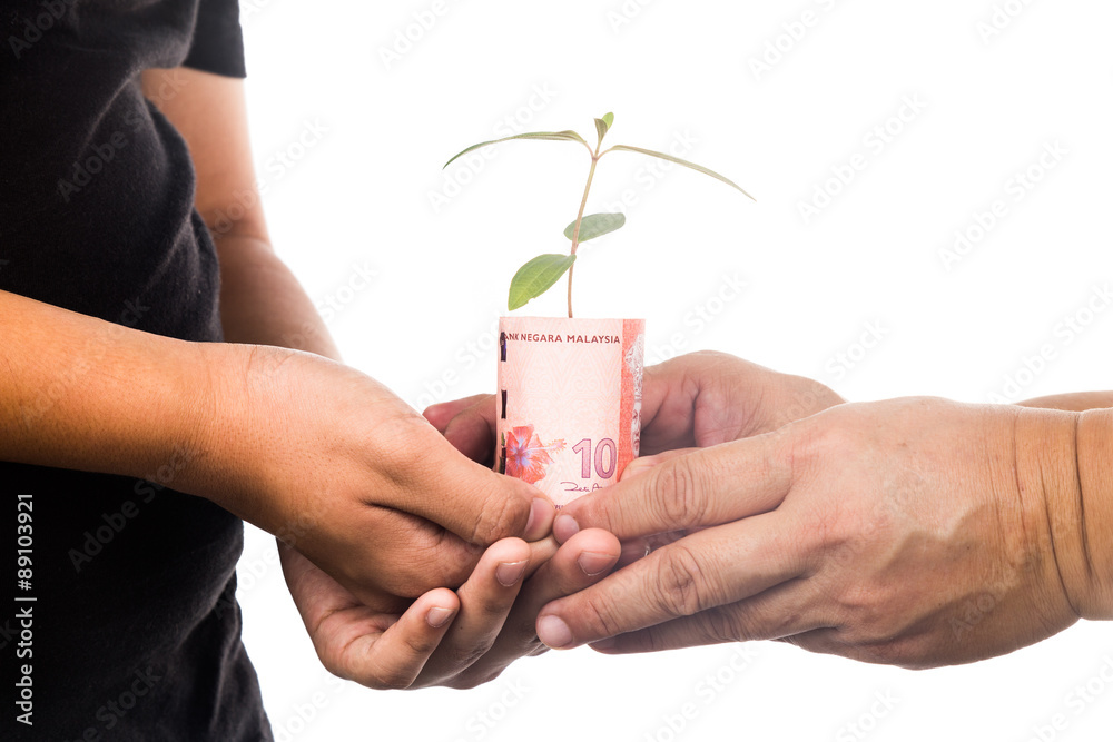 Concept of presenting plant growing from Malaysia Ringgit, symbolizing appreciation.