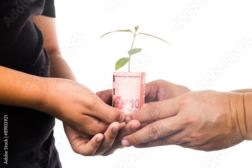 Concept of presenting plant growing from Malaysia Ringgit, symbolizing appreciation.