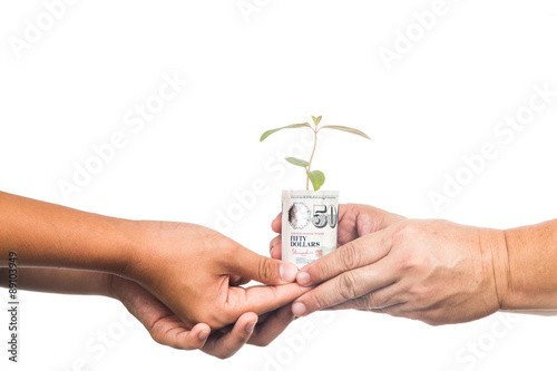 Concept of presenting plant growing from money, symbolizing appreication.