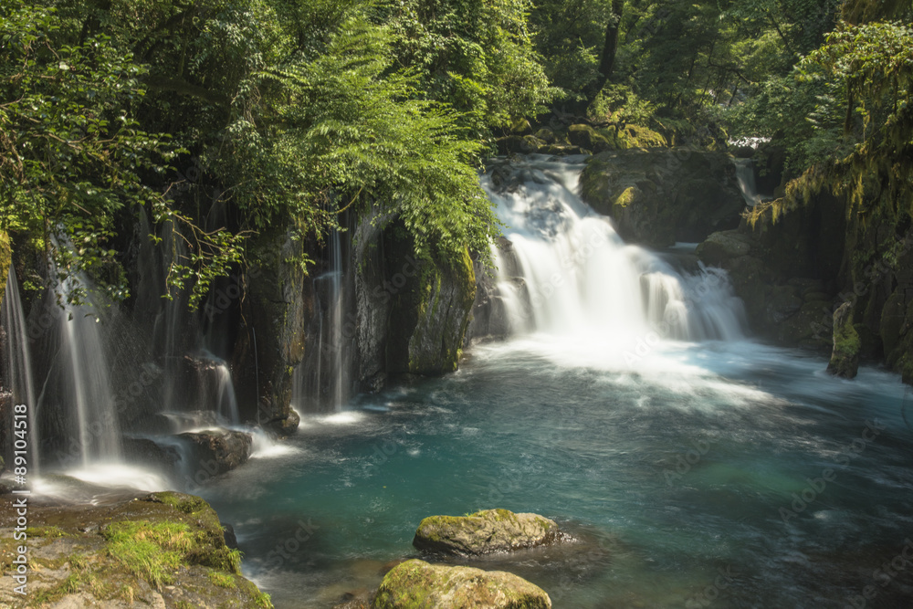 Obraz premium 菊池渓谷の渓流